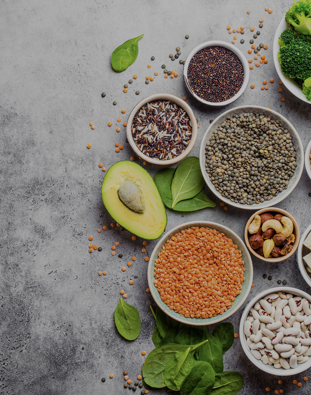 servicios-nova-plus-salud-nutricion